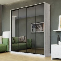 closet 4.1 220x45x210 facades mirror graphite senam